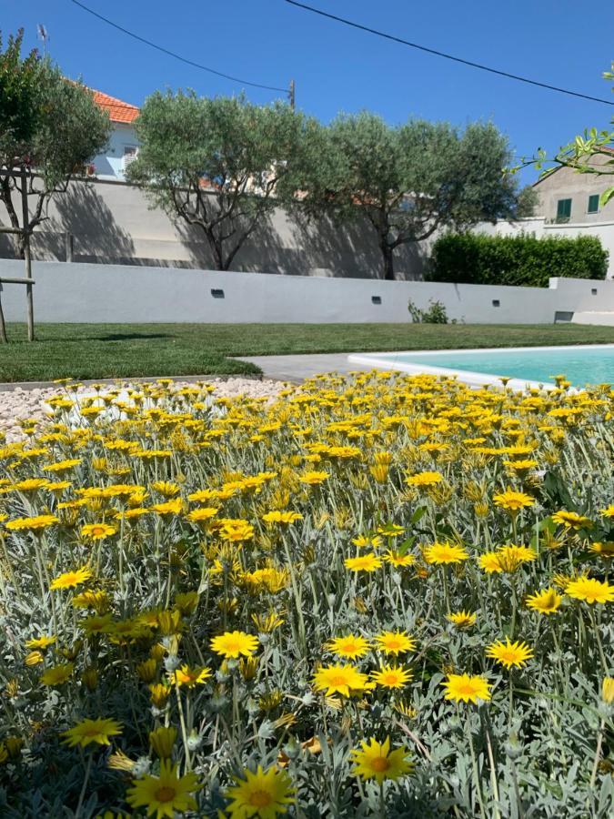 Tony'S House With Private Pool, Garden And Parking Villa Zadar Exterior photo